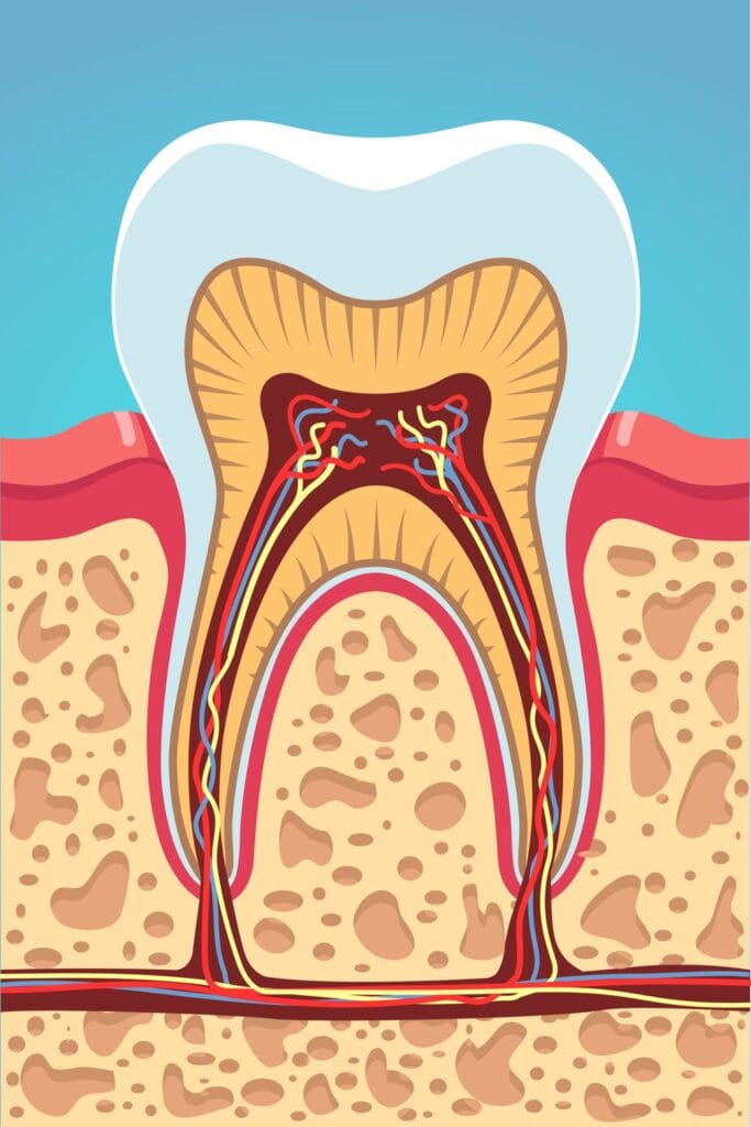 What Is A Pulpotomy?